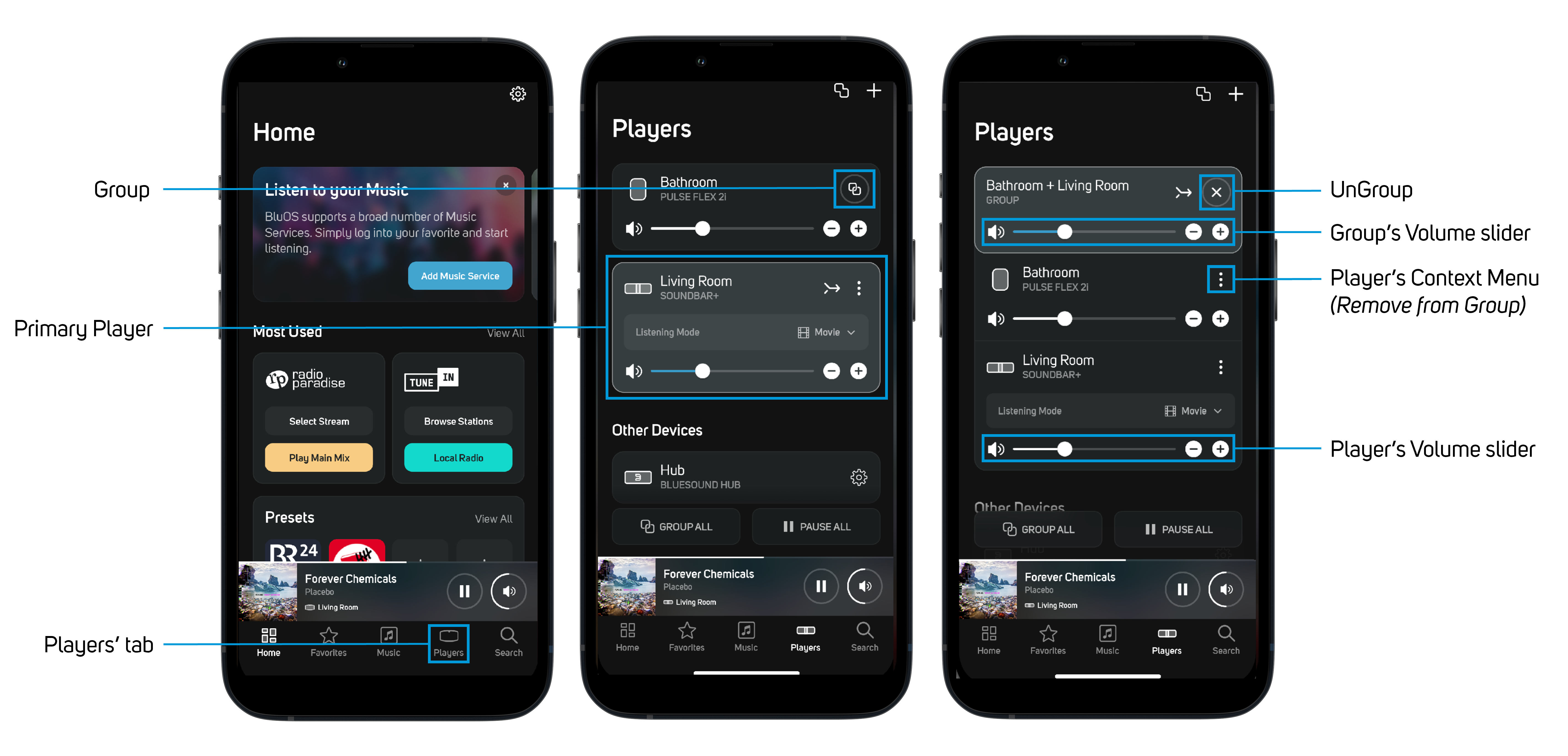 020_GroupingPlayer_iOS.png
